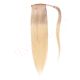 ponytail human hair extensions	Bleach blonde #613